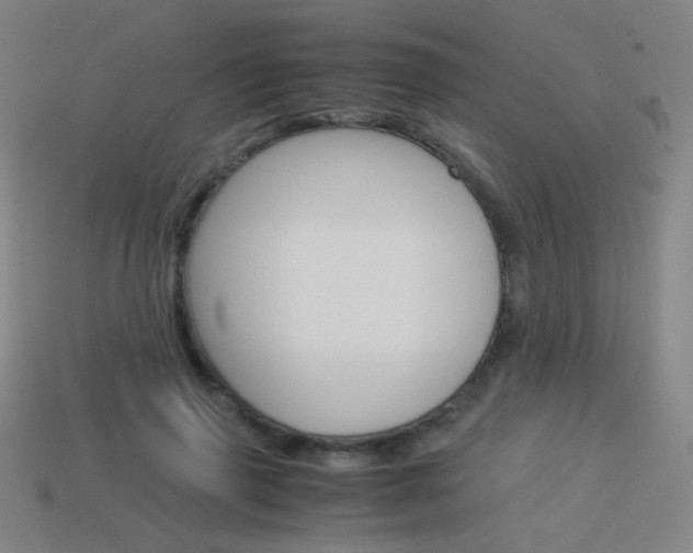X0000114190645200910091029