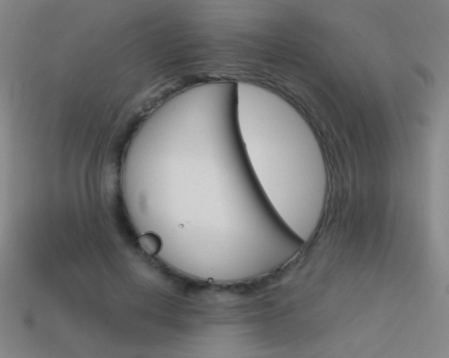X0000114190648200910091029
