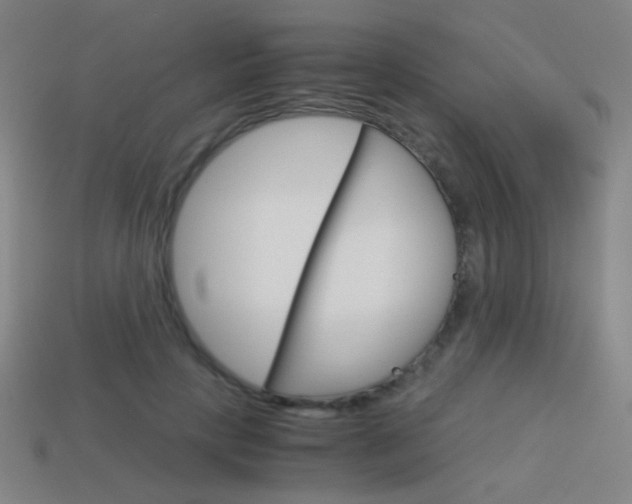 X0000114190649200910091029
