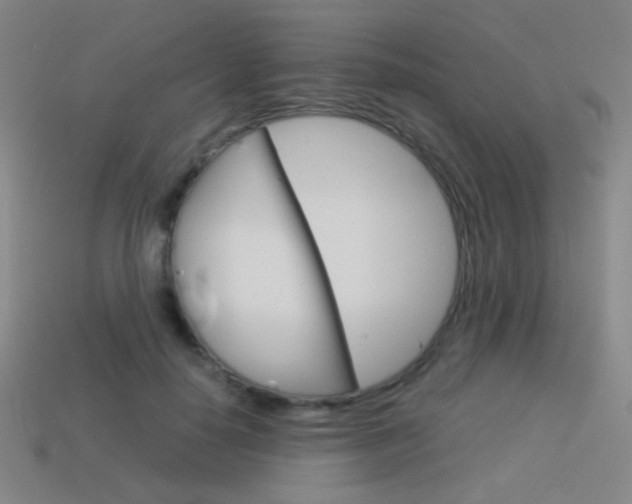 X0000114190650200910091029