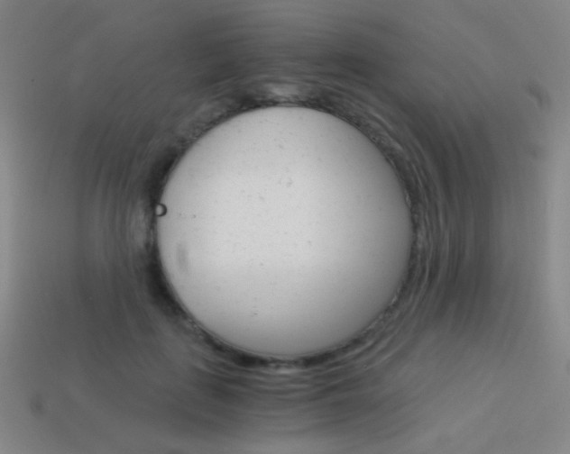 X0000114190651200910091029