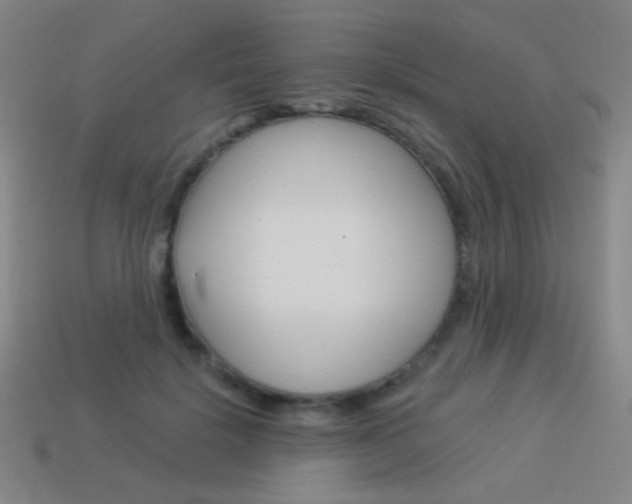 X0000114190652200910091029