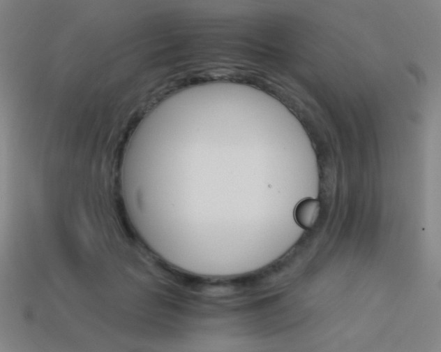 X0000114190653200910091029