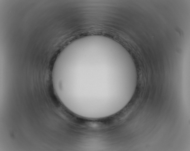 X0000114190654200910091029