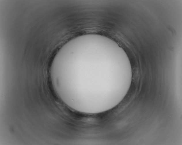 X0000114190655200910091029