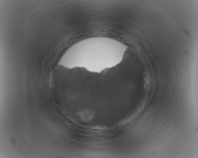 X0000114190659200910091029