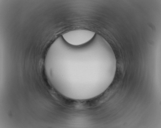 X0000114190660200910091029