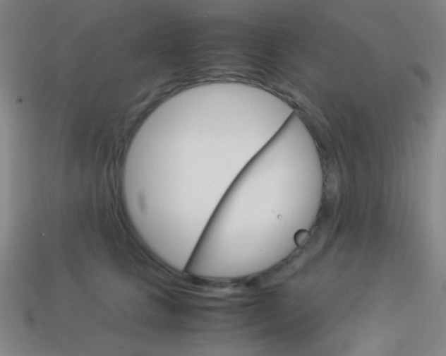 X0000114190661200910091029