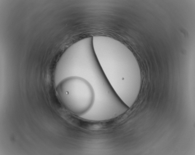 X0000114190662200910091029