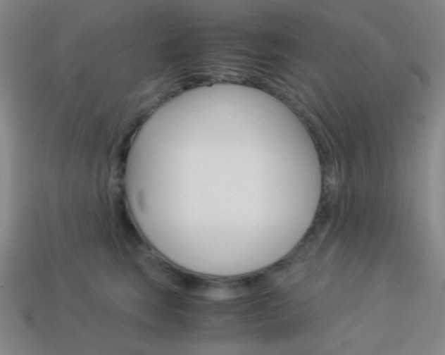 X0000114190663200910091029