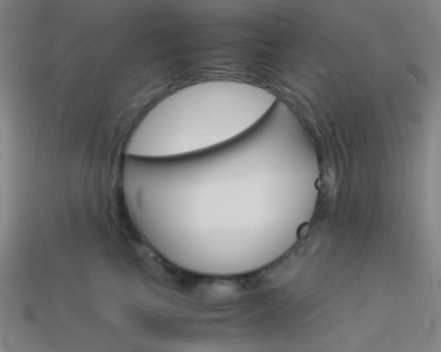 X0000114190665200910091029