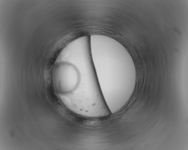X0000114190666200910091029