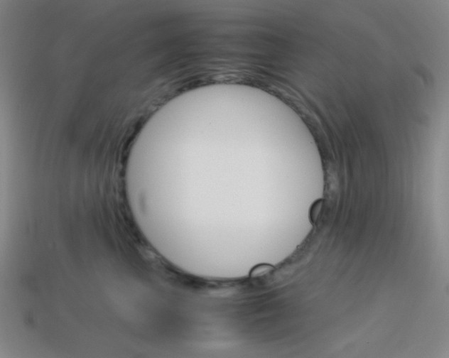 X0000114190667200910091029