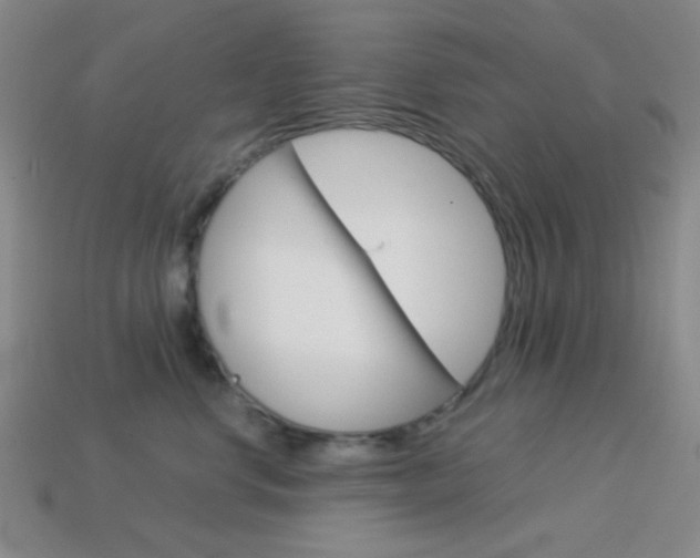 X0000114190668200910091029