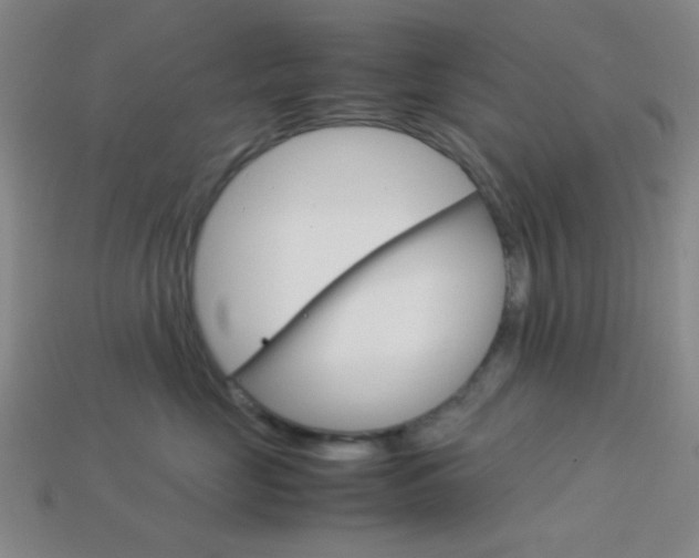 X0000114190669200910091029
