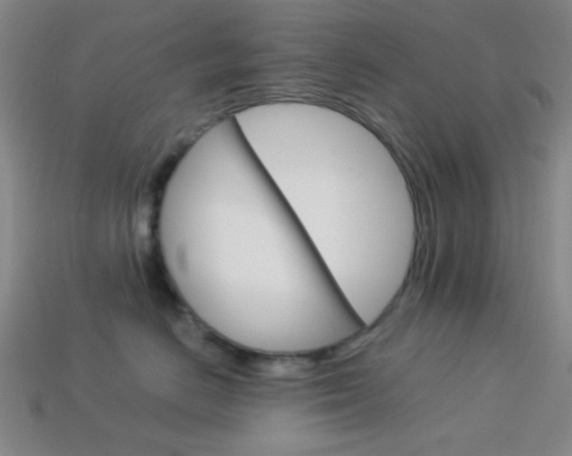 X0000114190670200910091029