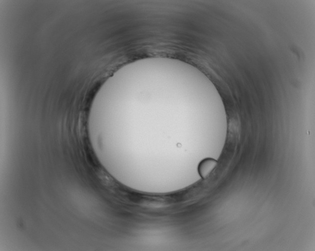 X0000114190671200910091029