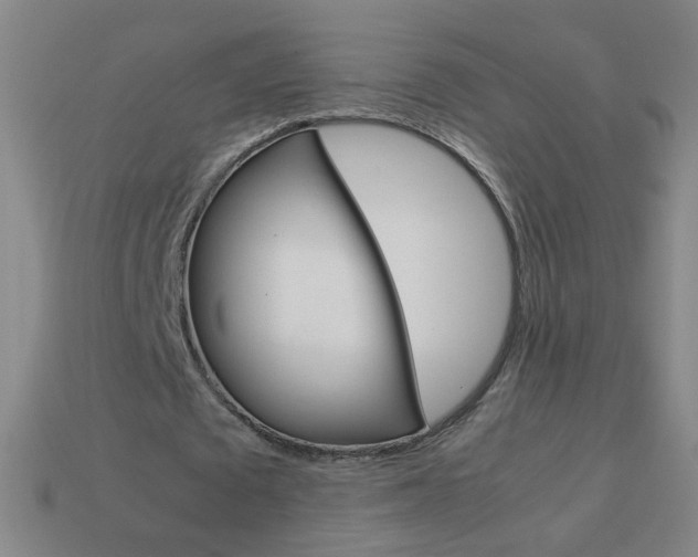 X0000114190673200910091028