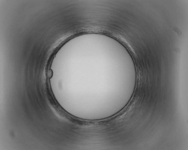 X0000114190674200910091028
