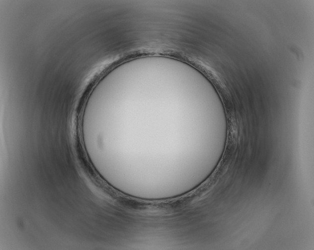 X0000114190678200910091028