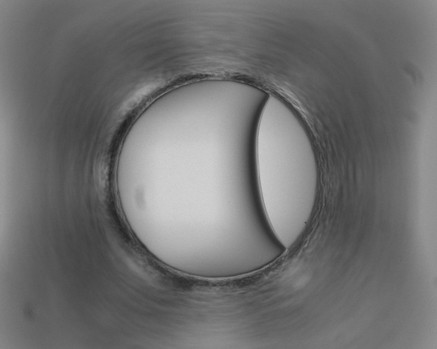 X0000114190679200910091028