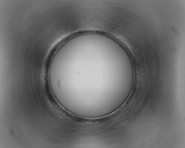 X0000114190680200910091028