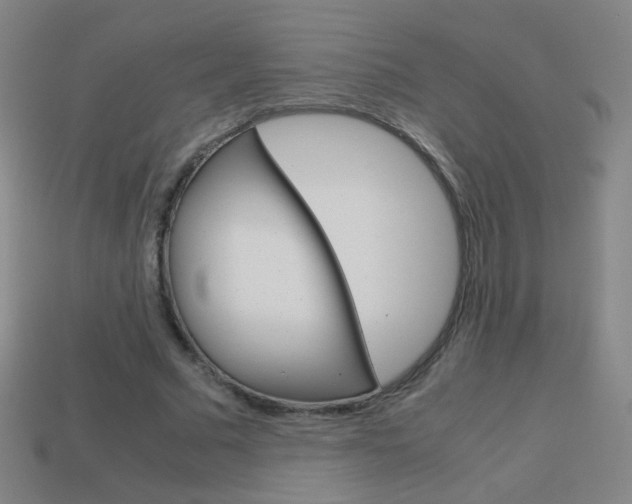X0000114190681200910091028