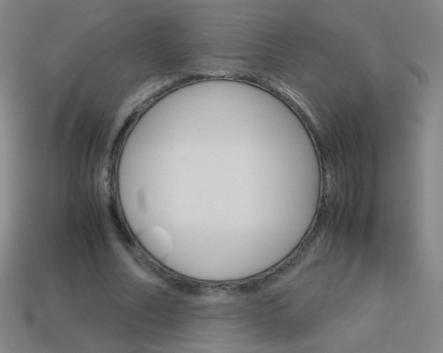 X0000114190682200910091028