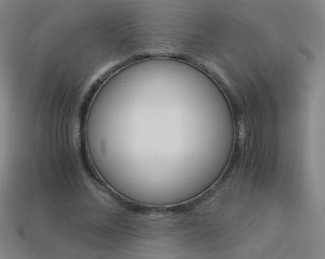 X0000114190684200910091028