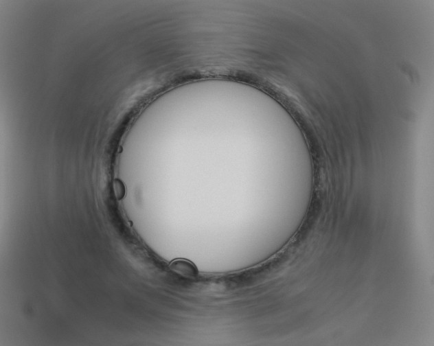 X0000114190687200910091028