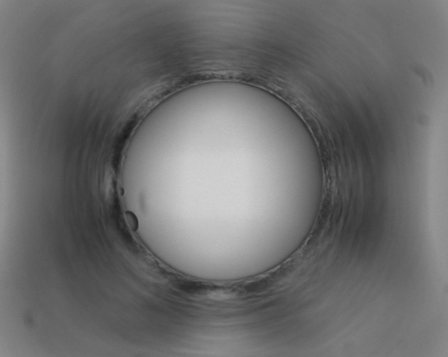 X0000114190692200910091028
