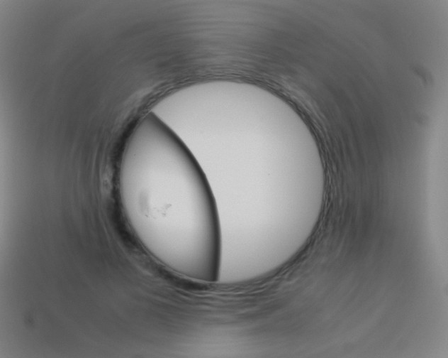 X0000114190693200910091028