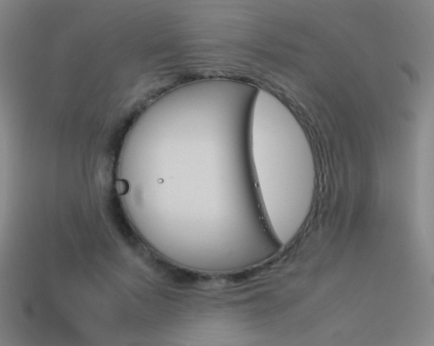 X0000114190695200910091028