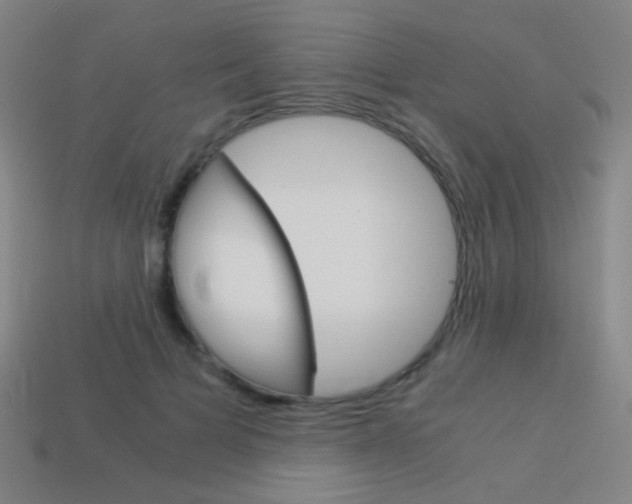 X0000114190697200910091028