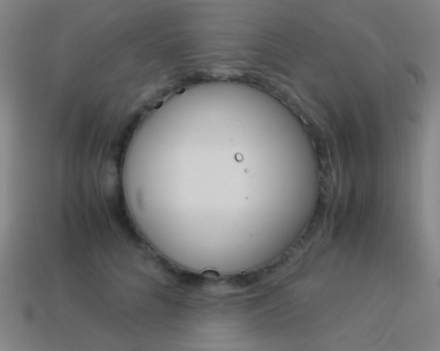 X0000114190704200910091028