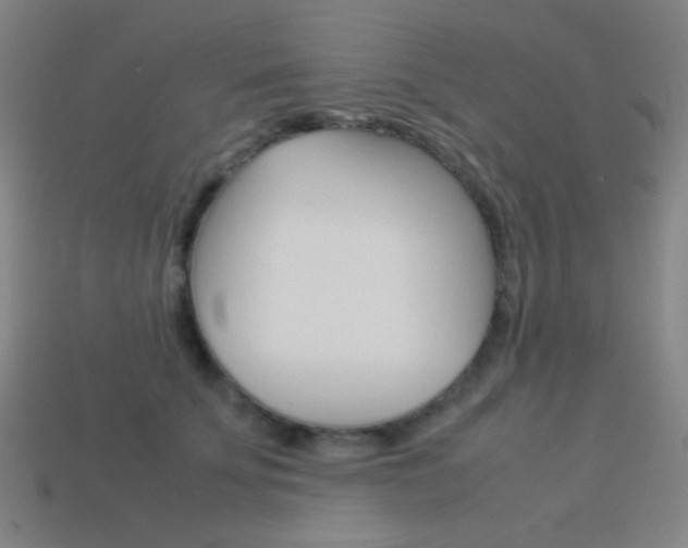 X0000114190707200910091028