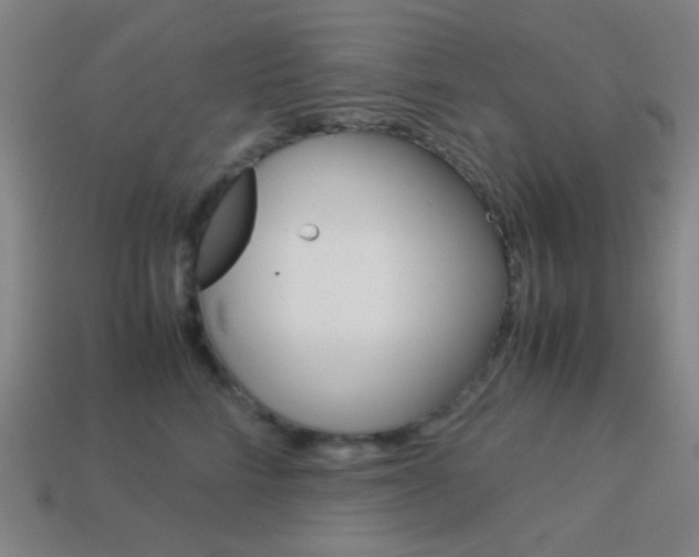 X0000114190712200910091028