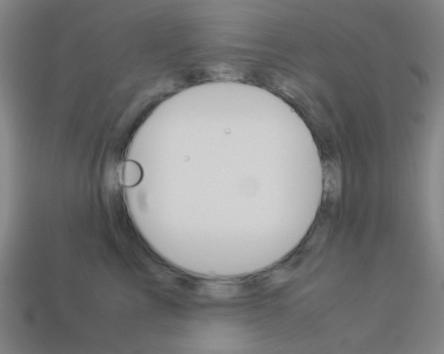 X0000114190713200910091028