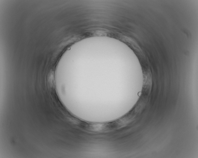 X0000114190717200910091028