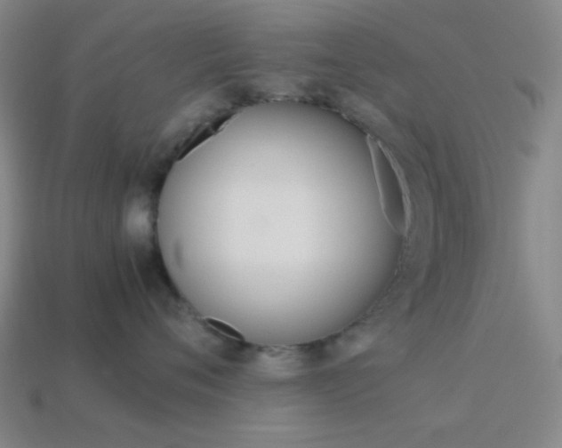 X0000114190720200910091028
