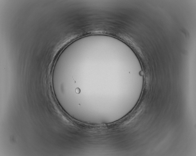 X0000114190721200910091027