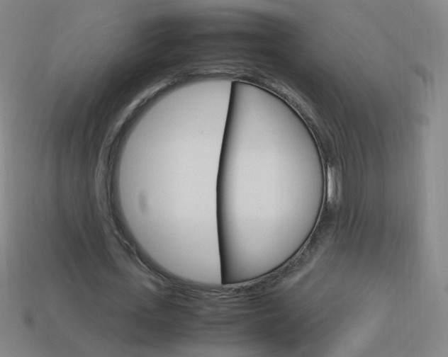 X0000114190723200910091027
