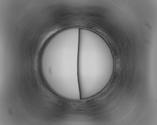 X0000114190727200910091027