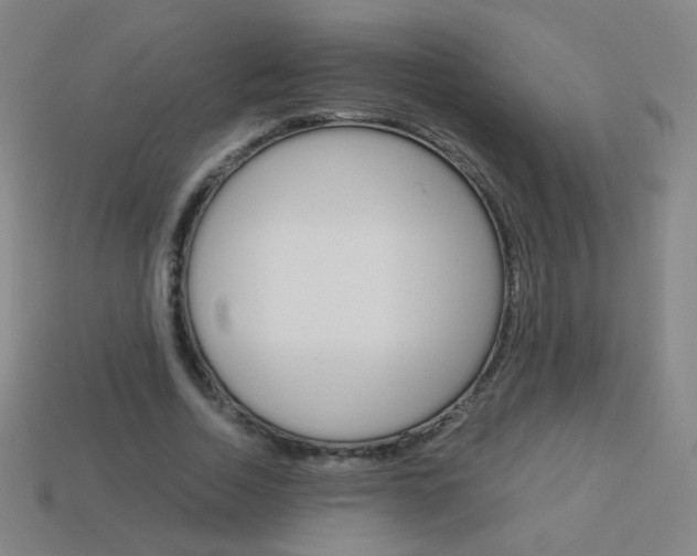 X0000114190730200910091027
