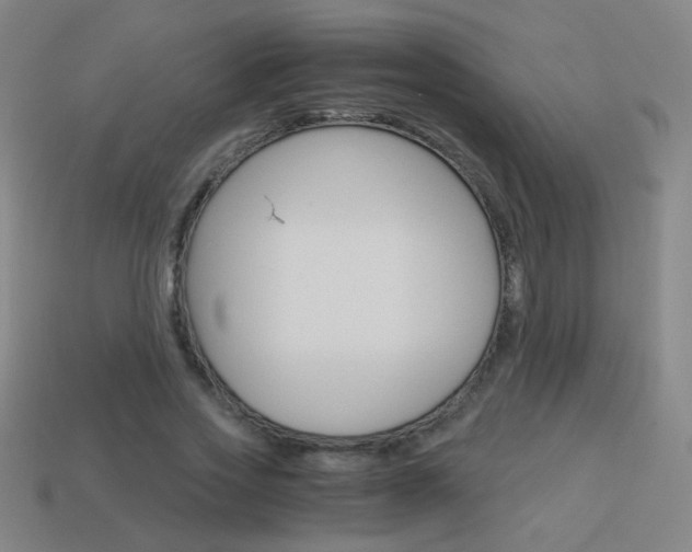 X0000114190733200910091027