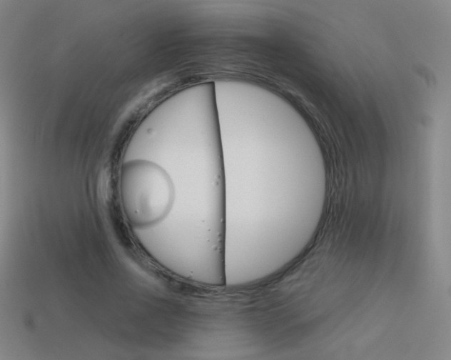 X0000114190734200910091027