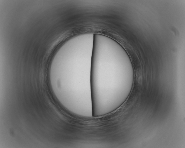 X0000114190735200910091027