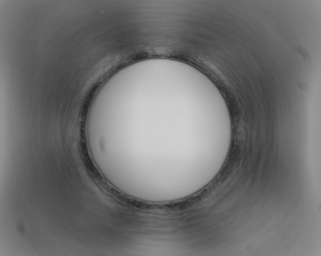 X0000114190738200910091027