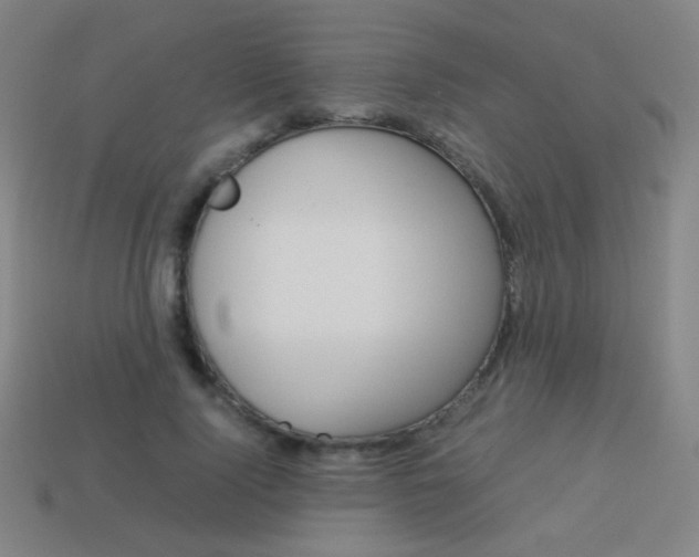 X0000114190740200910091027