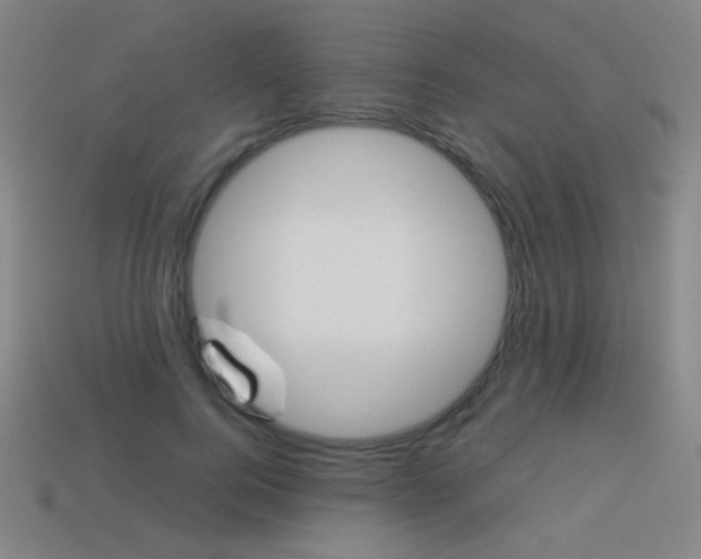 X0000114190744200910091027